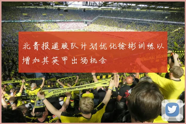 北青报道狼队计划优化徐彬训练以增加其英甲出场机会
