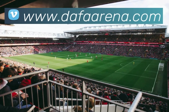 大发平台APP 封面图